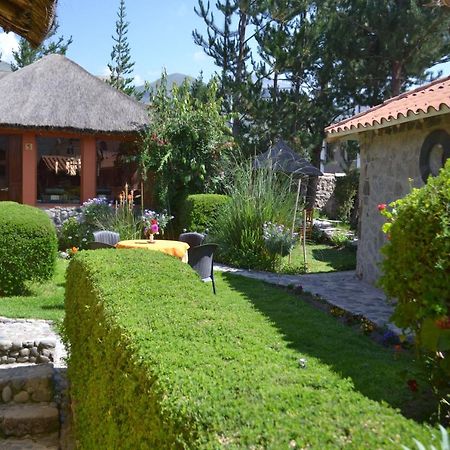 Yanque Miskiwasi Bed & Breakfast المظهر الخارجي الصورة
