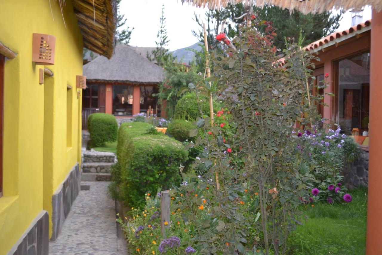 Yanque Miskiwasi Bed & Breakfast المظهر الخارجي الصورة